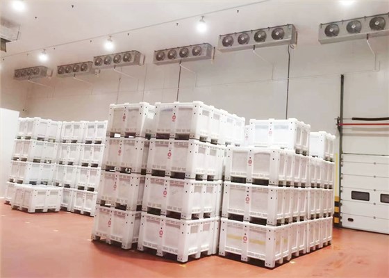 江苏润保食品厂-保鲜冷库安装工程案例